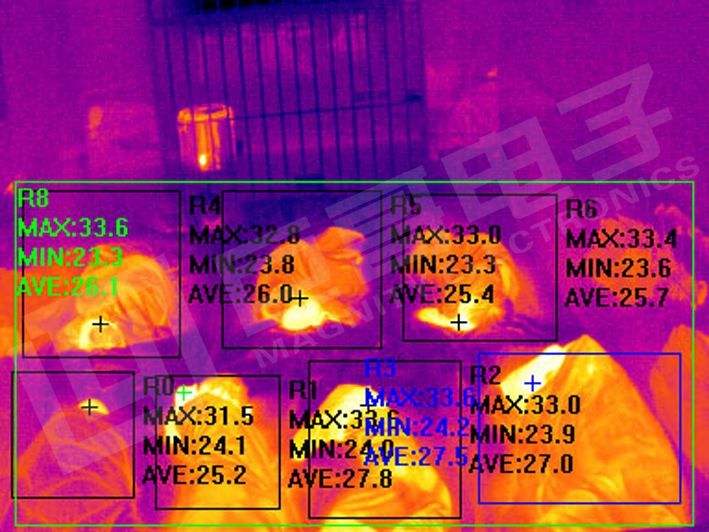 巨哥电子-热成像仪不间断监控人体测温