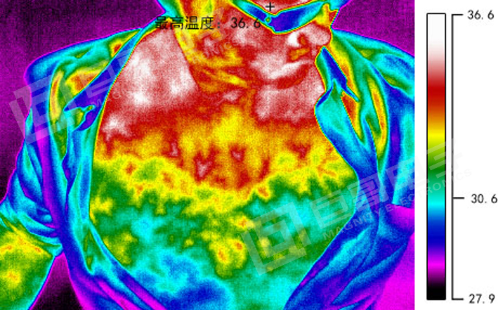 巨哥电子-热像仪人体检测