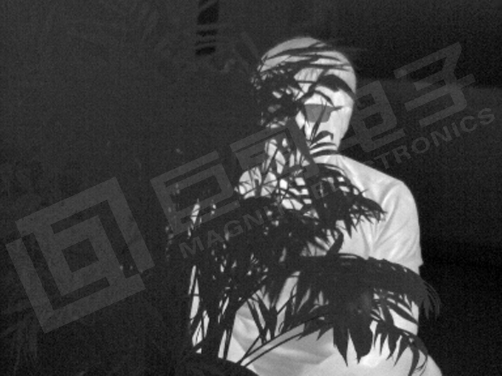 巨哥电子-红外热成像仪夜视监测
