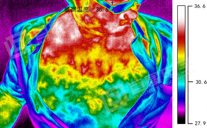 巨哥电子-热像仪人体测温